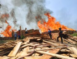 Gudang Kayu di Blitar Terbakar, Pemilik Rugi Tanpa Perlindungan Asuransi